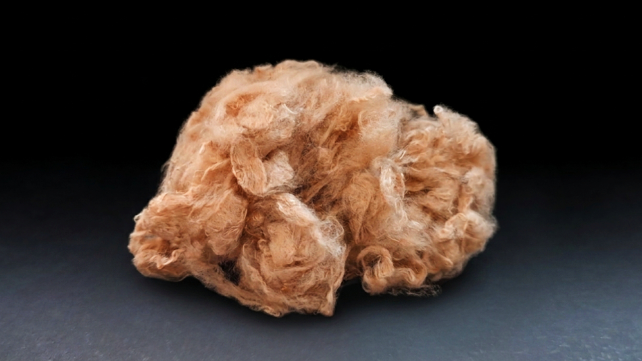 Viscosa 3474