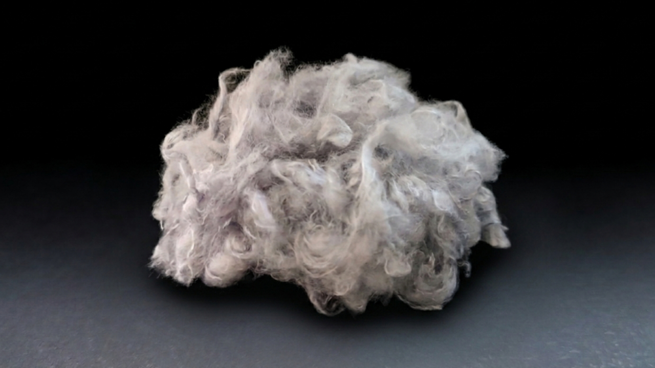 Viscosa 3777
